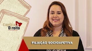 Explica Direito Filiação Socioafetiva  2019 [upl. by Nad494]