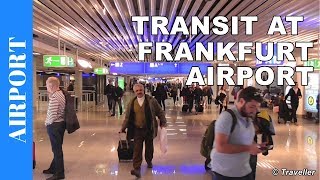 TRANSIT WALK AT FRANKFURT Airport FRA Terminal 1  Connection Flight Transfer Arriving amp Departing [upl. by Aicatsanna185]